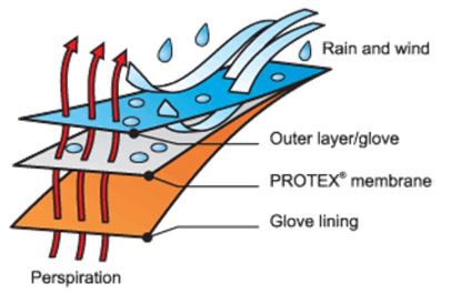 ProTex membrana